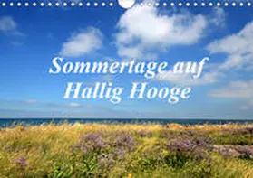 Sarnade |  Sommertage auf Hallig Hooge (Wandkalender 2020 DIN A4 quer) | Sonstiges |  Sack Fachmedien