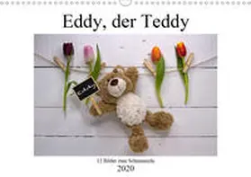 Immephotography |  Eddy, der Teddy - 12 Bilder zum Schmunzeln (Wandkalender 2020 DIN A3 quer) | Sonstiges |  Sack Fachmedien