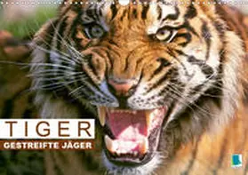 Calvendo / CALVENDO |  Tiger: Gestreifte Jäger aus Asien (Wandkalender 2020 DIN A3 quer) | Sonstiges |  Sack Fachmedien