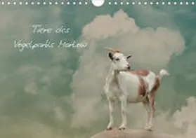 Hultsch |  Tierkalender (Wandkalender 2020 DIN A4 quer) | Sonstiges |  Sack Fachmedien