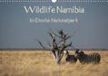 Müller |  Wildlife Namibia (Wandkalender 2020 DIN A3 quer) | Sonstiges |  Sack Fachmedien