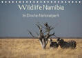 Müller |  Wildlife Namibia (Tischkalender 2020 DIN A5 quer) | Sonstiges |  Sack Fachmedien
