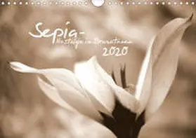 Tinadefortunata / tinadefortunata |  Sepia - Nostalgie in Brauntönen (Wandkalender 2020 DIN A4 quer) | Sonstiges |  Sack Fachmedien