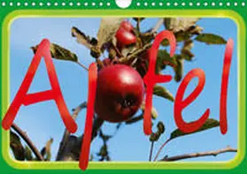 Tinadefortunata / tinadefortunata |  Apfel (Wandkalender 2020 DIN A4 quer) | Sonstiges |  Sack Fachmedien