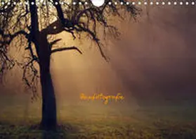 Kunze |  Zenfotografie (Wandkalender 2020 DIN A4 quer) | Sonstiges |  Sack Fachmedien