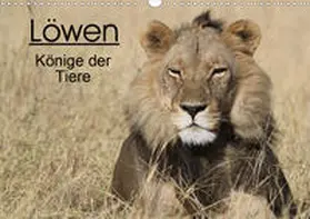 Sander |  Löwen - Könige der Tiere (Wandkalender 2020 DIN A3 quer) | Sonstiges |  Sack Fachmedien
