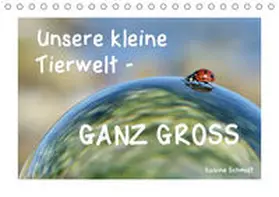 Schmidt |  Unsere kleine Tierwelt - GANZ GROSS (Tischkalender 2020 DIN A5 quer) | Sonstiges |  Sack Fachmedien