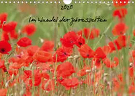 Peitz |  2020 Im Wandel der Jahreszeiten (Wandkalender 2020 DIN A4 quer) | Sonstiges |  Sack Fachmedien