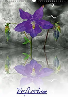 Lutzius | Reflektion (Wandkalender 2020 DIN A3 hoch) | Sonstiges | 978-3-670-35750-6 | www.sack.de