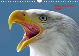 Pantke |  Alaska und Kanadas Westen (Wandkalender 2020 DIN A4 quer) | Sonstiges |  Sack Fachmedien