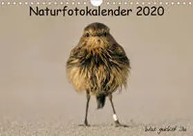 Hübner |  Naturfotokalender 2020 (Wandkalender 2020 DIN A4 quer) | Sonstiges |  Sack Fachmedien