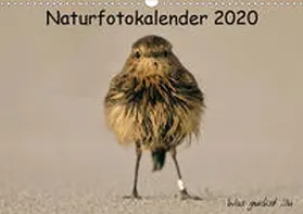 Hübner |  Naturfotokalender 2020 (Wandkalender 2020 DIN A3 quer) | Sonstiges |  Sack Fachmedien