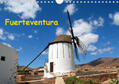 Schneider |  Fuerteventura (Wandkalender 2020 DIN A4 quer) | Sonstiges |  Sack Fachmedien