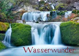 Thoma |  Wasserwunder (Wandkalender 2020 DIN A2 quer) | Sonstiges |  Sack Fachmedien
