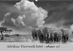 Schmidbauer |  Afrikas Tierwelt lebt - schwarz auf weiß (Wandkalender 2020 DIN A2 quer) | Sonstiges |  Sack Fachmedien