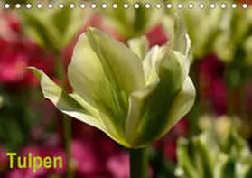 Haas | Tulpen (Tischkalender 2020 DIN A5 quer) | Sonstiges | 978-3-670-36936-3 | www.sack.de
