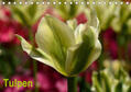 Haas |  Tulpen (Tischkalender 2020 DIN A5 quer) | Sonstiges |  Sack Fachmedien