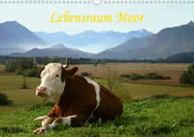 Schwarz |  Lebensraum Moor (Wandkalender 2020 DIN A3 quer) | Sonstiges |  Sack Fachmedien