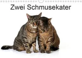 Eppele | Zwei Schmusekater (Wandkalender 2020 DIN A4 quer) | Sonstiges | 978-3-670-37752-8 | www.sack.de