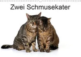 Eppele | Zwei Schmusekater (Wandkalender 2020 DIN A3 quer) | Sonstiges | 978-3-670-37753-5 | www.sack.de