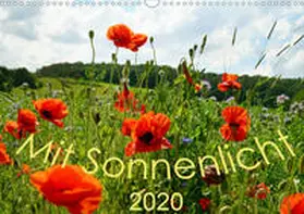 Schmidt |  Mit Sonnenlicht (Wandkalender 2020 DIN A3 quer) | Sonstiges |  Sack Fachmedien