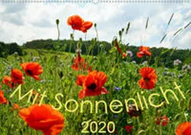 Schmidt |  Mit Sonnenlicht (Wandkalender 2020 DIN A2 quer) | Sonstiges |  Sack Fachmedien