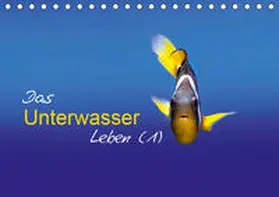 Mende |  Das Unterwasser Leben (1) (Tischkalender 2020 DIN A5 quer) | Sonstiges |  Sack Fachmedien