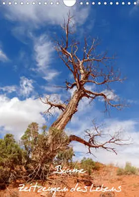 Roth |  Bäume - Zeitzeugen des Lebens (Wandkalender 2020 DIN A4 hoch) | Sonstiges |  Sack Fachmedien