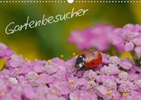 Müller | Gartenbesucher (Wandkalender 2020 DIN A3 quer) | Sonstiges | 978-3-670-39245-3 | www.sack.de