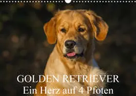 Starick |  Golden Retriever - Ein Herz auf 4 Pfoten (Wandkalender 2020 DIN A3 quer) | Sonstiges |  Sack Fachmedien