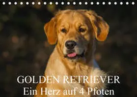Starick |  Golden Retriever - Ein Herz auf 4 Pfoten (Tischkalender 2020 DIN A5 quer) | Sonstiges |  Sack Fachmedien