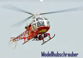 Selig |  Modellhubschrauber (Wandkalender 2020 DIN A3 quer) | Sonstiges |  Sack Fachmedien