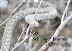Wilms |  Schlangen Europas (Wandkalender 2020 DIN A4 quer) | Sonstiges |  Sack Fachmedien