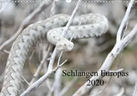 Wilms |  Schlangen Europas (Wandkalender 2020 DIN A3 quer) | Sonstiges |  Sack Fachmedien