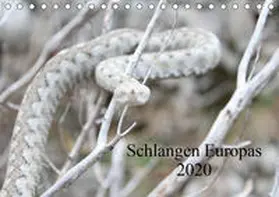 Wilms |  Schlangen Europas (Tischkalender 2020 DIN A5 quer) | Sonstiges |  Sack Fachmedien