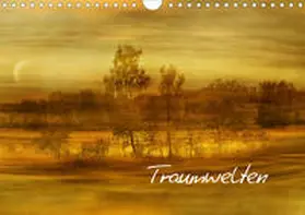 Manhart / manhART |  Traumwelten (Wandkalender 2020 DIN A4 quer) | Sonstiges |  Sack Fachmedien