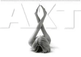 VAN VEENENDAAL FOTOGRAFIE |  AKT FOTOGRAFIE II (Wandkalender 2020 DIN A2 quer) | Sonstiges |  Sack Fachmedien