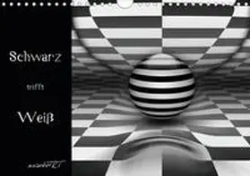 Manhart / manhART |  Schwarz trifft Weiß (Wandkalender 2020 DIN A4 quer) | Sonstiges |  Sack Fachmedien