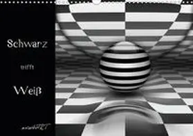 Manhart / manhART |  Schwarz trifft Weiß (Wandkalender 2020 DIN A3 quer) | Sonstiges |  Sack Fachmedien