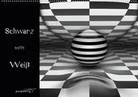 Manhart / manhART |  Schwarz trifft Weiß (Wandkalender 2020 DIN A2 quer) | Sonstiges |  Sack Fachmedien