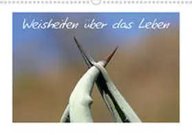 Kaiser |  Weisheiten über das Leben / CH-Version (Wandkalender 2020 DIN A3 quer) | Sonstiges |  Sack Fachmedien