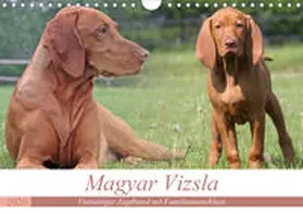 Mielewczyk |  Magyar Vizsla - Vielseitiger Jagdhund mit Familienanschluss (Wandkalender 2020 DIN A4 quer) | Sonstiges |  Sack Fachmedien