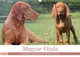 Mielewczyk |  Magyar Vizsla - Vielseitiger Jagdhund mit Familienanschluss (Wandkalender 2020 DIN A3 quer) | Sonstiges |  Sack Fachmedien