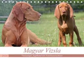 Mielewczyk |  Magyar Vizsla - Vielseitiger Jagdhund mit Familienanschluss (Tischkalender 2020 DIN A5 quer) | Sonstiges |  Sack Fachmedien