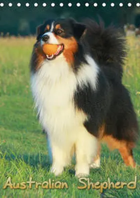 Mielewczyk |  Australian Shepherd (Tischkalender 2020 DIN A5 hoch) | Sonstiges |  Sack Fachmedien