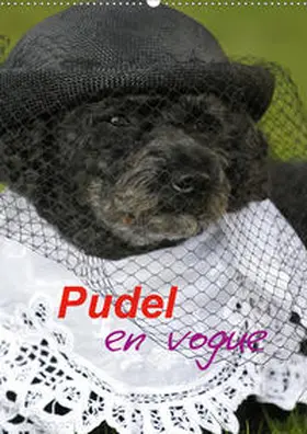 Lindert-Rottke |  Pudel en vogue (Wandkalender 2020 DIN A2 hoch) | Sonstiges |  Sack Fachmedien
