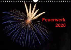 E. Klein | Feuerwerk (Wandkalender 2020 DIN A4 quer) | Sonstiges | 978-3-670-41398-1 | www.sack.de