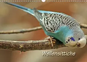 Mielewczyk |  Wellensittiche (Wandkalender 2020 DIN A3 quer) | Sonstiges |  Sack Fachmedien