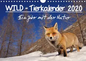 Colombo |  WILD - Tierkalender 2020 (Wandkalender 2020 DIN A4 quer) | Sonstiges |  Sack Fachmedien