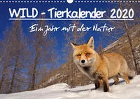 Colombo |  WILD - Tierkalender 2020 (Wandkalender 2020 DIN A3 quer) | Sonstiges |  Sack Fachmedien